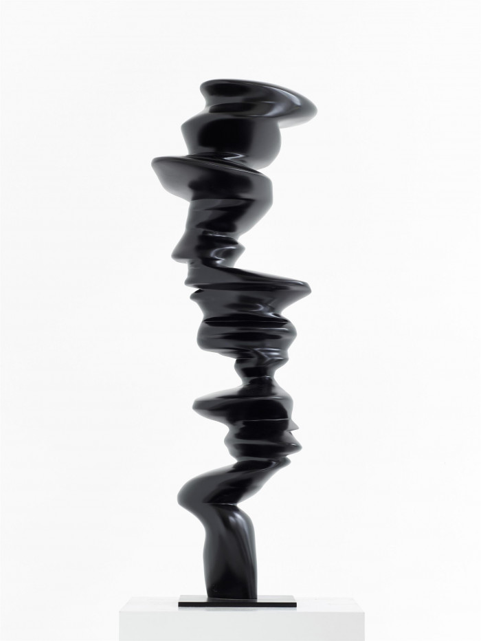 Tony Cragg, Solo, 2019 Buchmann Galerie, Bronze