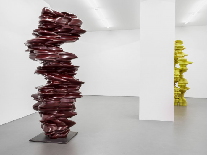 Tony Cragg, ‘It is, it isn’t’, 2016, Wood
