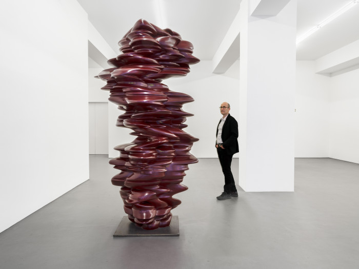 Tony Cragg, ‘It is, it isn’t’, 2016, Wood