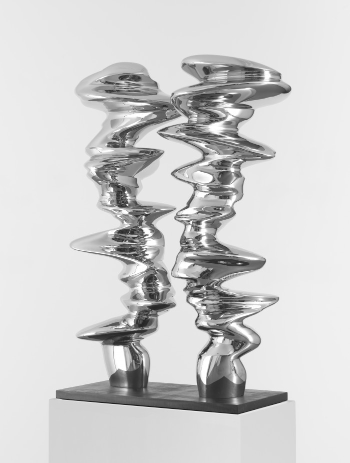 Tony Cragg, ‘Near Relatives’, 2022, Stainless steel