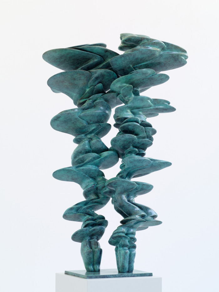 Tony Cragg, ‘Pair’, 2023, Bronze