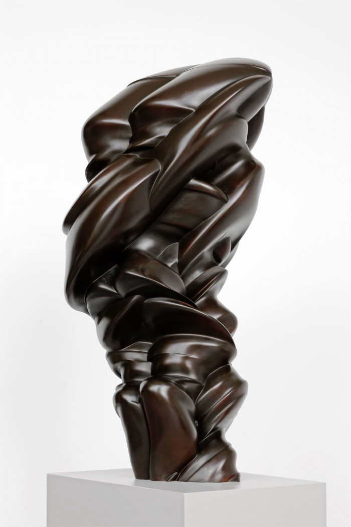 Tony Cragg, ‘After we’ve gone’, 2013, Bronze