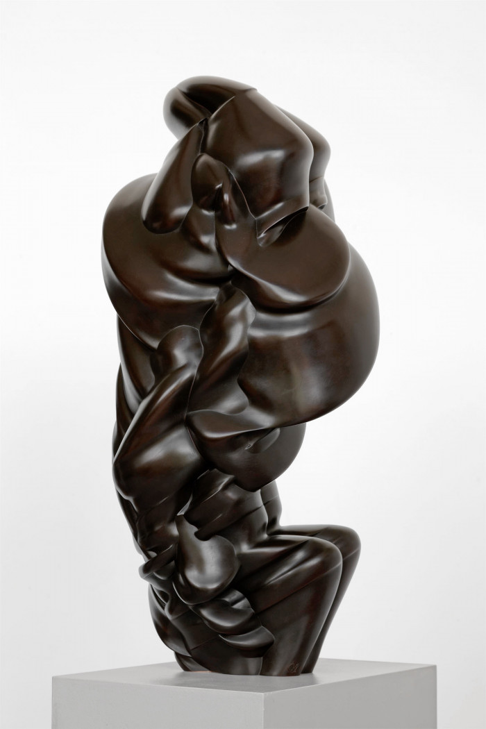 Tony Cragg, ‘After we’ve gone’, 2013, Bronze