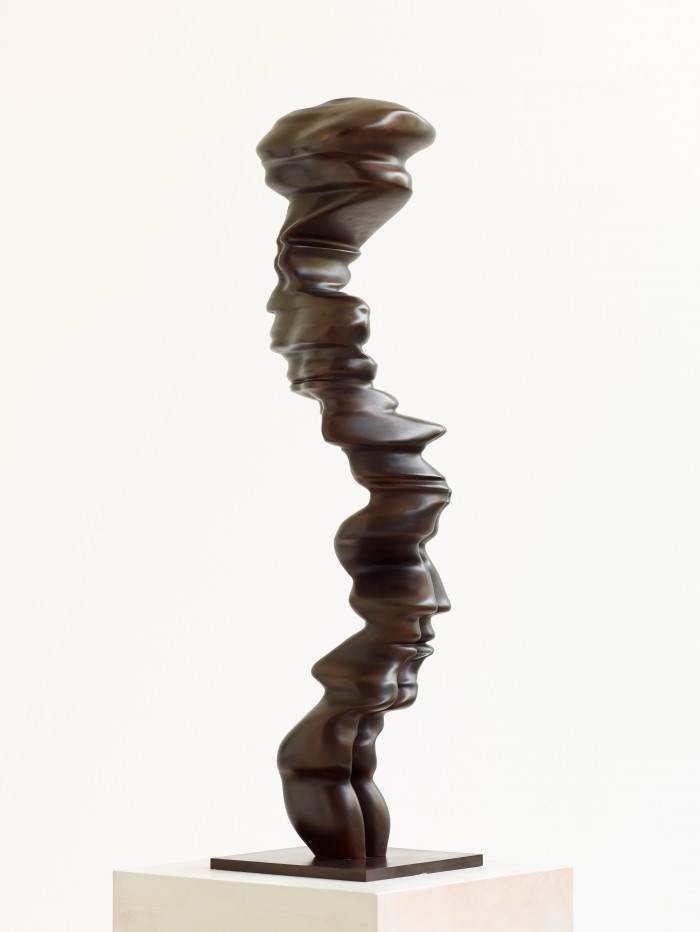 Tony Cragg, ‘Ivy’, 2024, Bronze