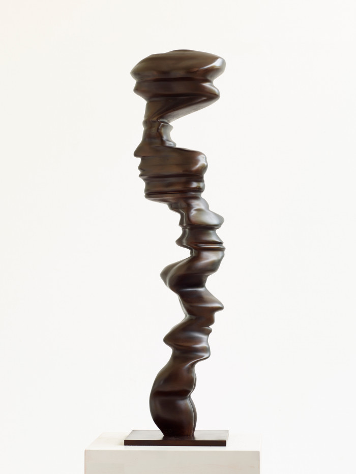 Tony Cragg, ‘Ivy’, 2024, Bronze