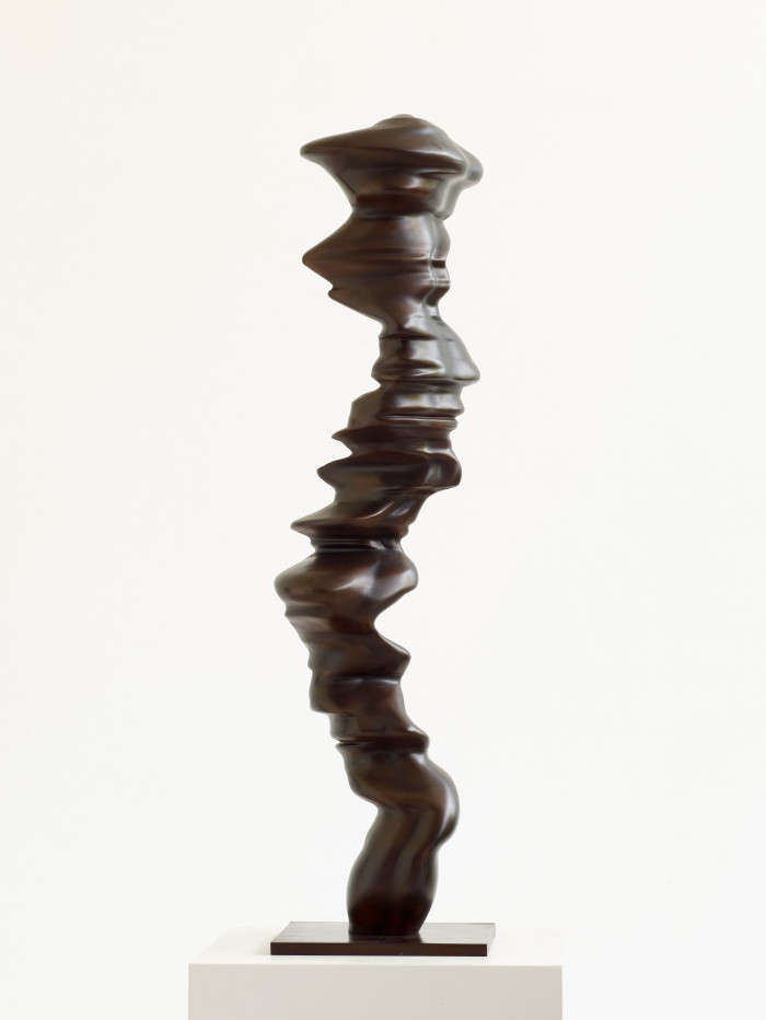 Tony Cragg, ‘Ivy’, 2024, Bronze