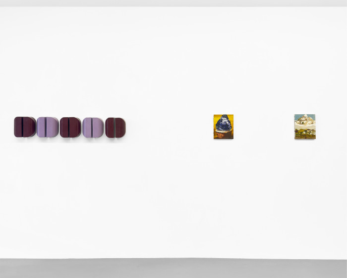 Clare Woods, ‘Variations on Subject and Object, Buchmann Box’, Installationsansicht, Buchmann Galerie, Buchmann Galerie, 2026