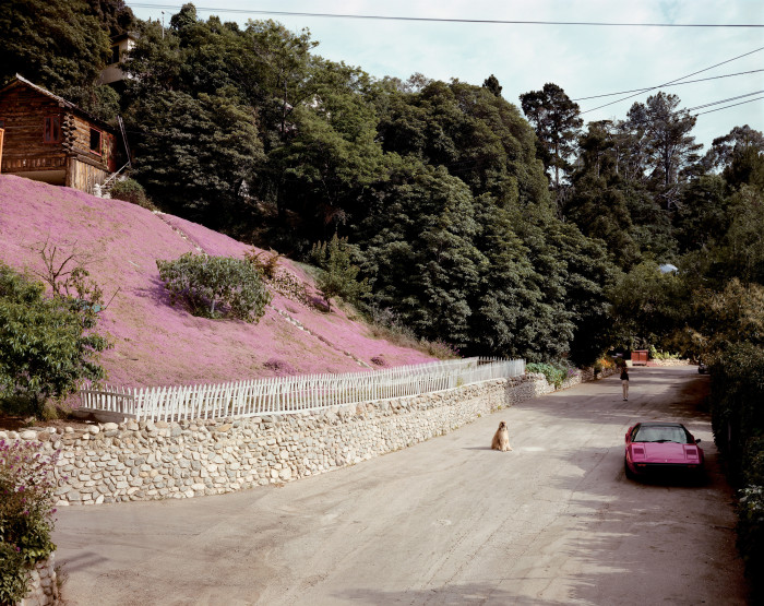 Joel Sternfeld, ‘Lake Oswego, Oregon, June 1979’, Archival Inkjet print