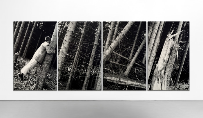 Anna & Bernhard Blume, ‘Kontakt mit Bäumen (Contact with Trees) from the series Im Wald (In the Forest)’, 1988, silver gelatin prints, mounted on rigid foam panels, coated with UV-protective varnish