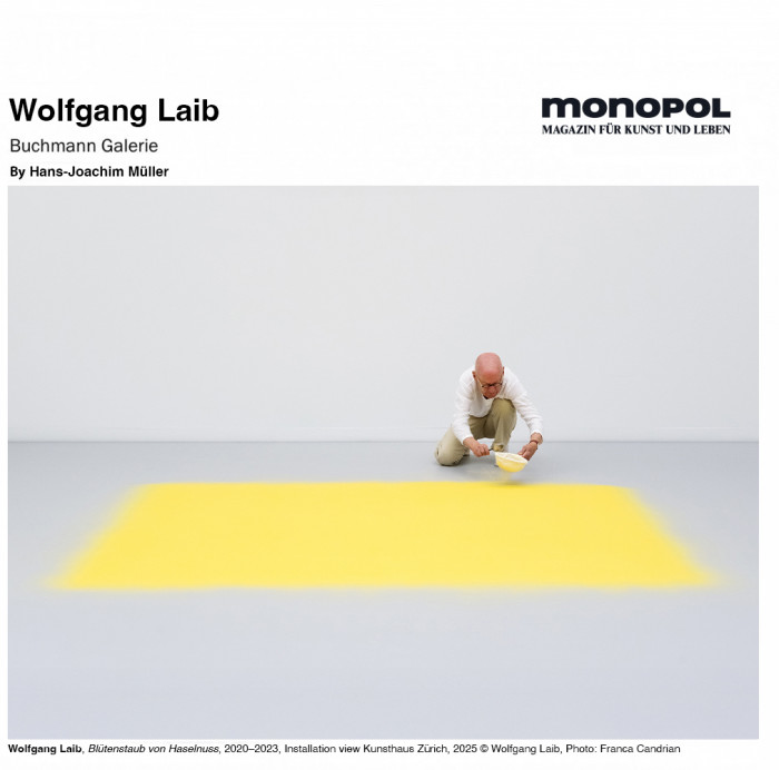 Wolfgang Laib | Artist buy works at Buchmann Galerie