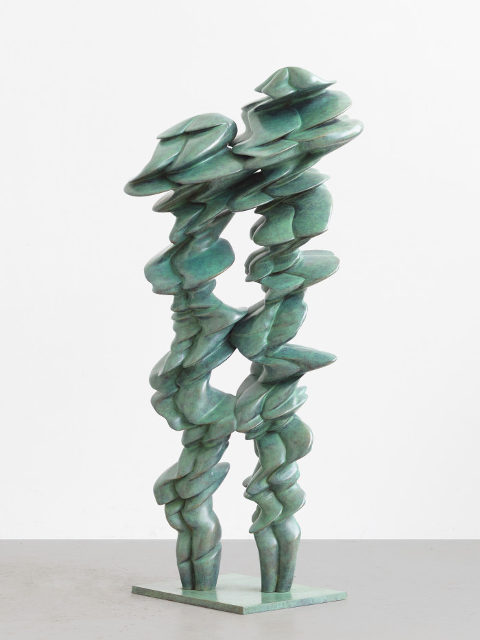 Tony Cragg, ‘Pair’, 2021, Bronze