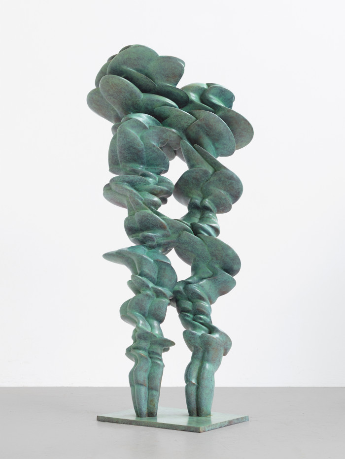 Tony Cragg, ‘Pair’, 2021, Bronze