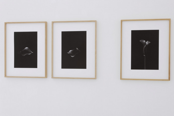 Marco D'Anna, Installation view, Buchmann Agra, 2015