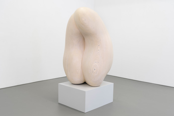 Tony Cragg, ‘Integer’, 2020, Wood