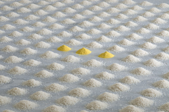 Installation view, Buchmann Agra