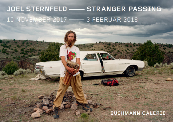 Joel Sternfeld – Stranger Passing, 2017 | Exhibitions | Buchmann